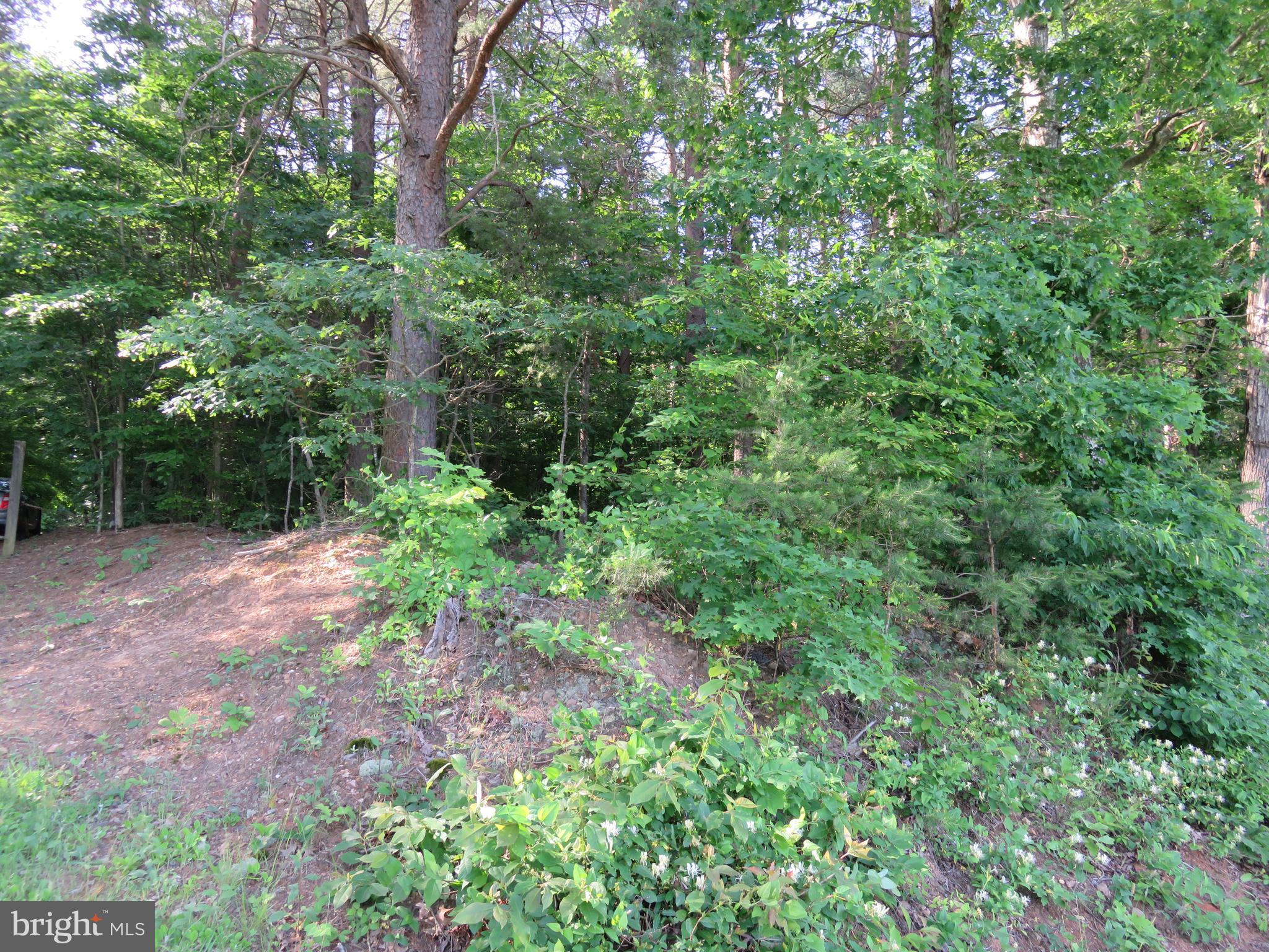 3731 Breaknock Road Bumpass, VA 23024 - Photo 16 of 44 Gallery Image 16
