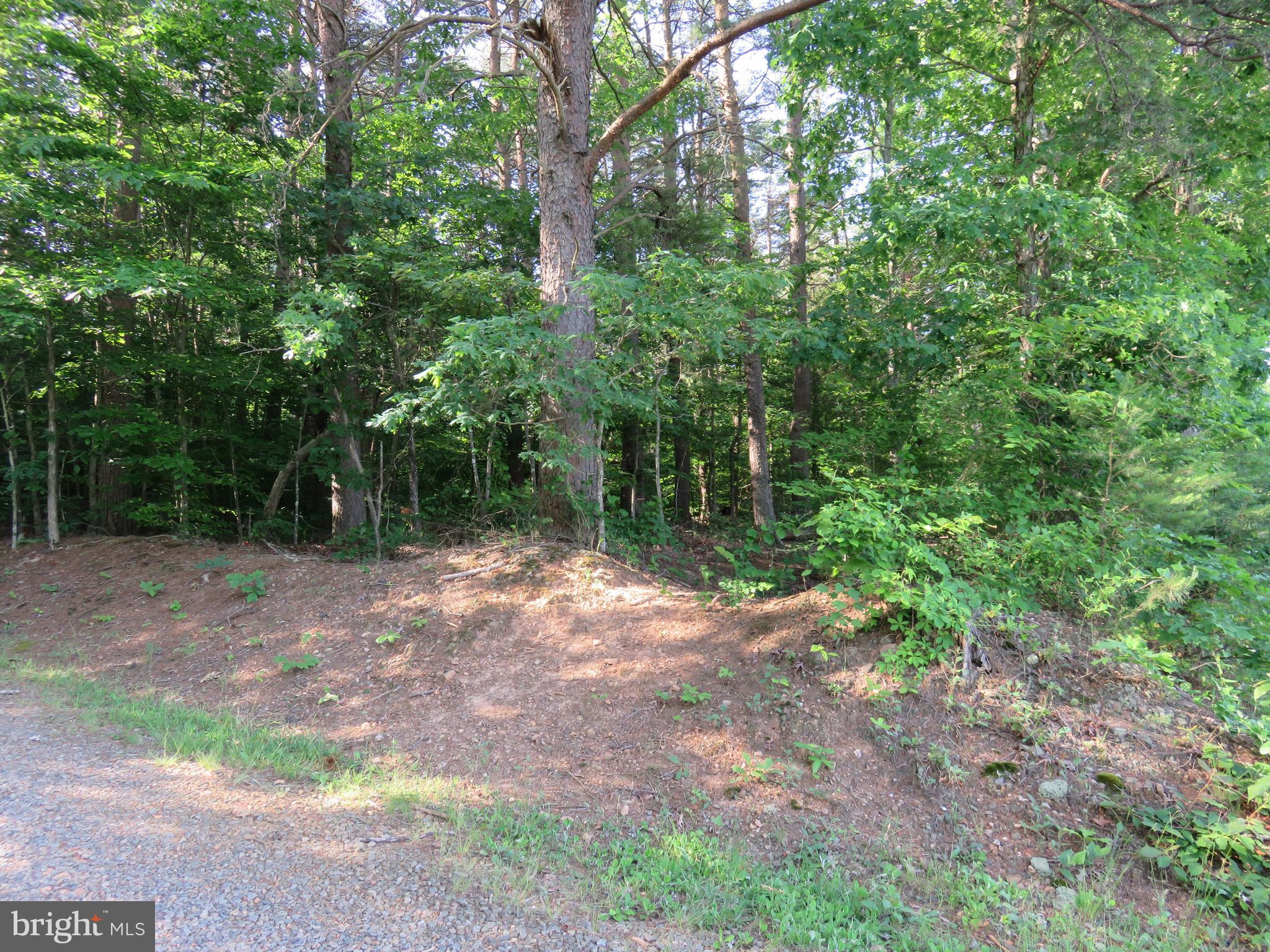 3731 Breaknock Road Bumpass, VA 23024 - Photo 17 of 44 Gallery Image 17