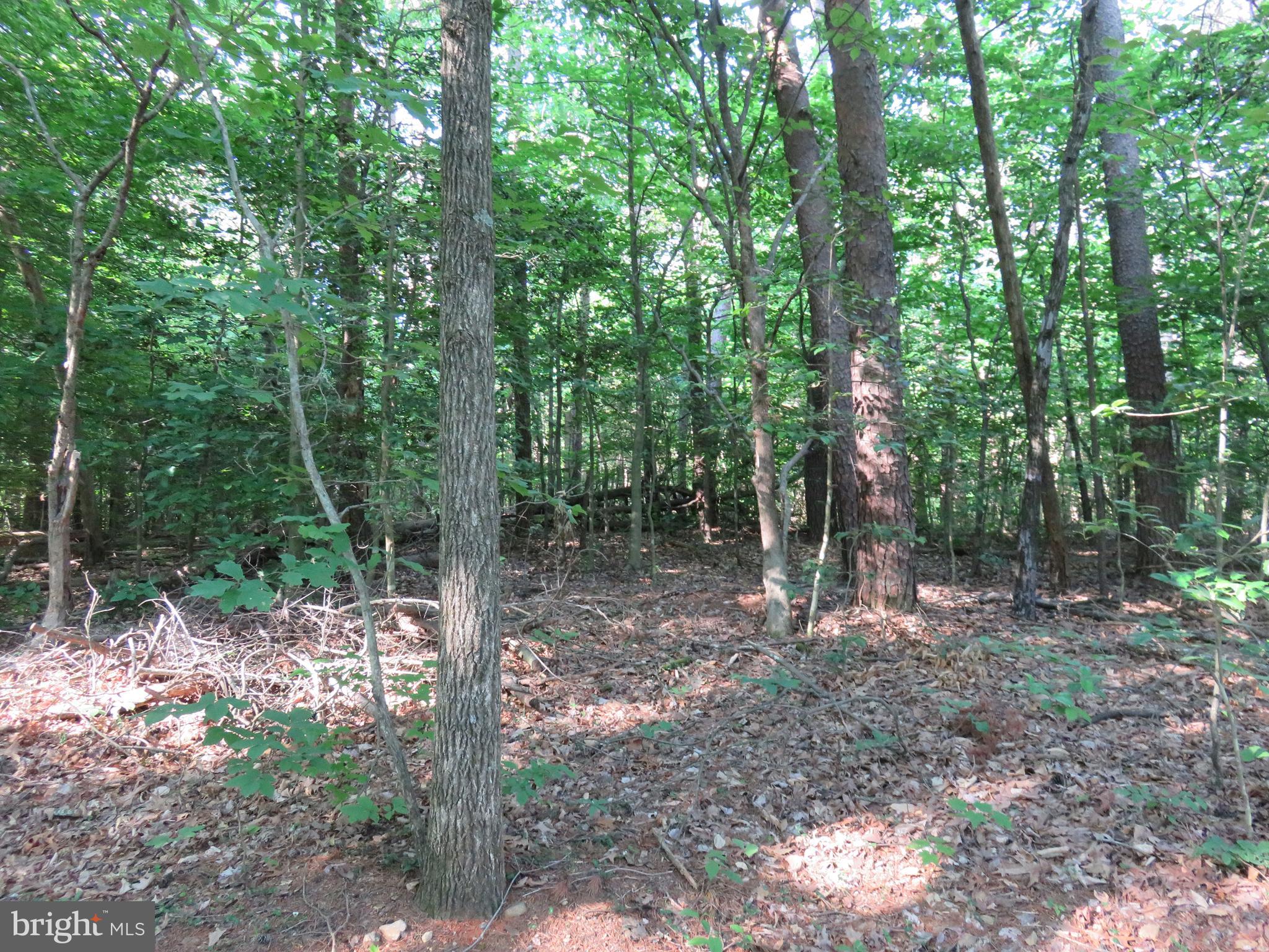 3731 Breaknock Road Bumpass, VA 23024 - Photo 18 of 44 Gallery Image 18