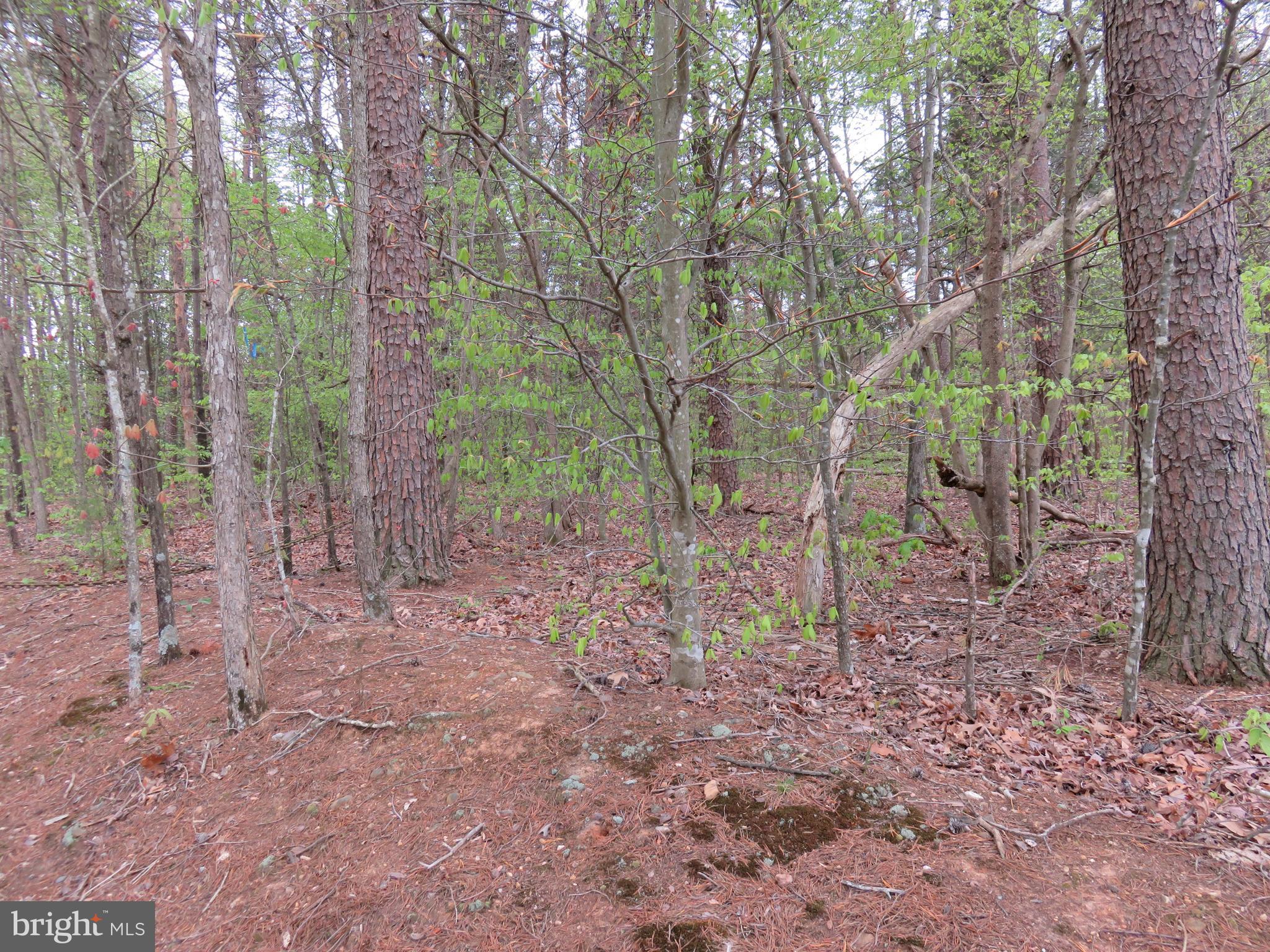 3731 Breaknock Road Bumpass, VA 23024 - Photo 20 of 44 Gallery Image 20