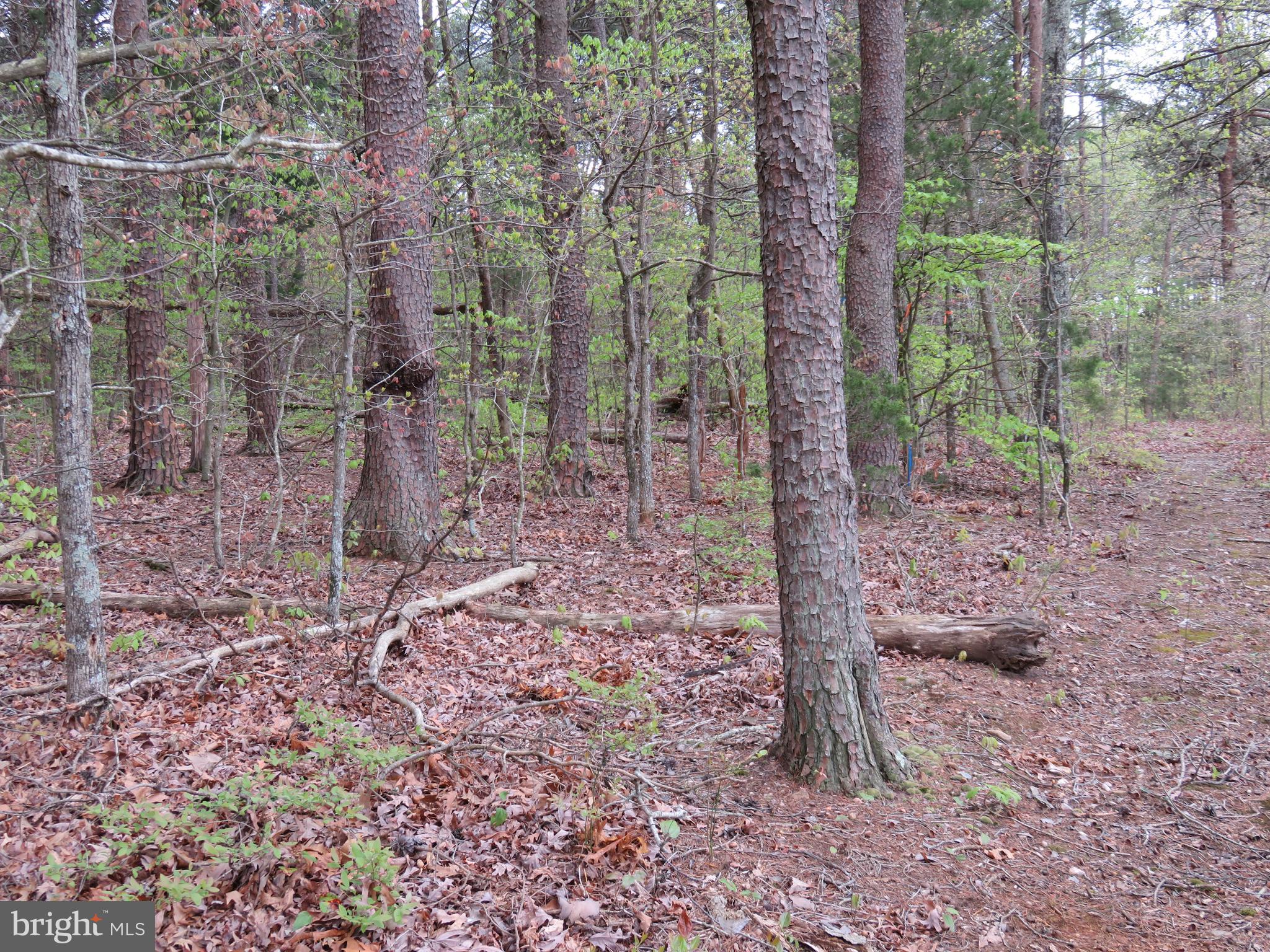 3731 Breaknock Road Bumpass, VA 23024 - Photo 21 of 44 Gallery Image 21