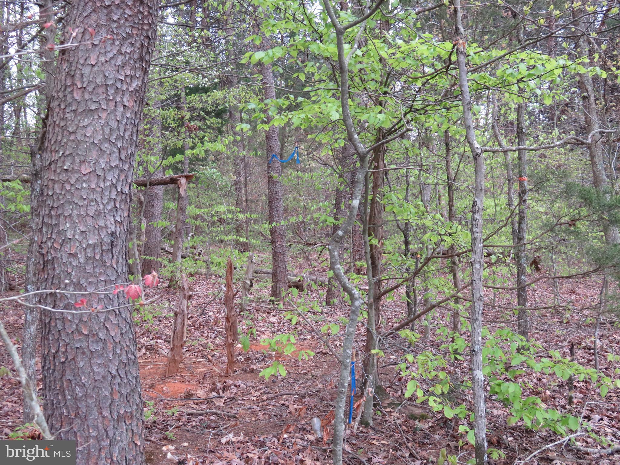 3731 Breaknock Road Bumpass, VA 23024 - Photo 22 of 44 Gallery Image 22