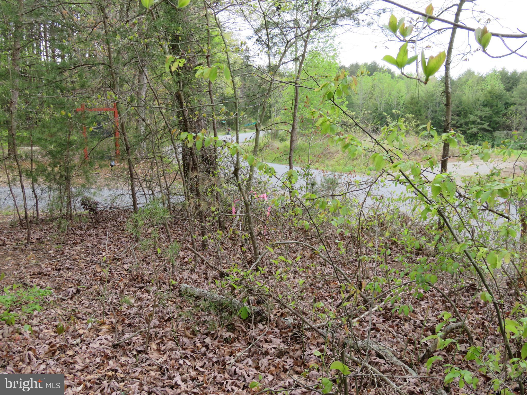 3731 Breaknock Road Bumpass, VA 23024 - Photo 23 of 44 Gallery Image 23