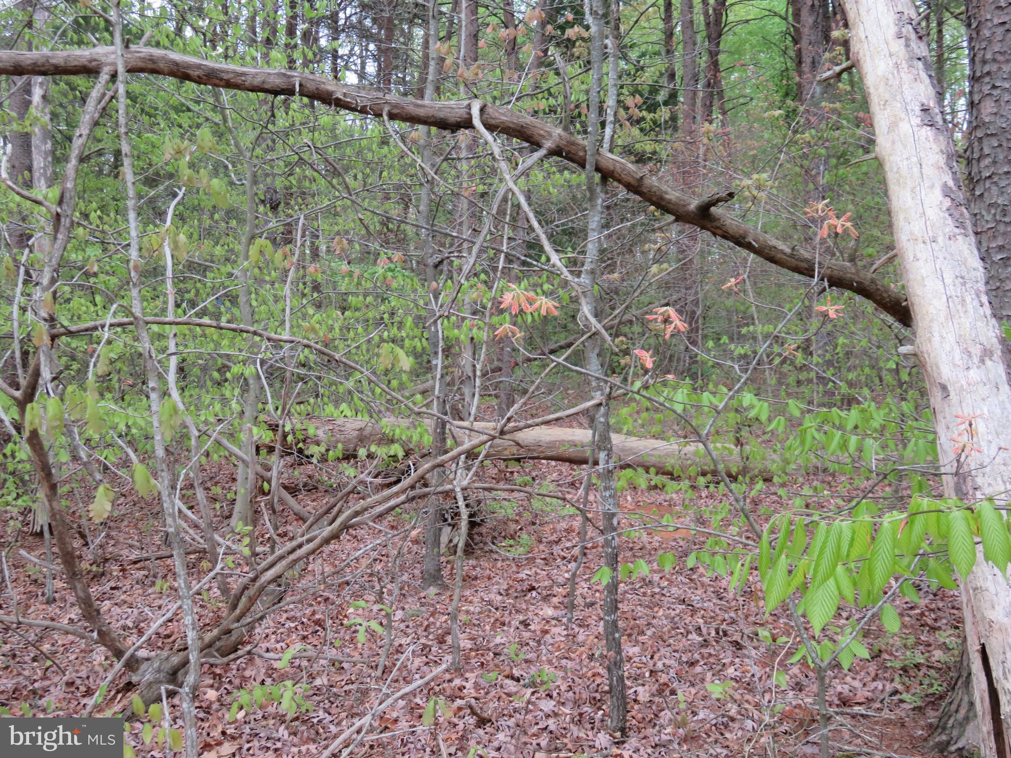 3731 Breaknock Road Bumpass, VA 23024 - Photo 24 of 44 Gallery Image 24