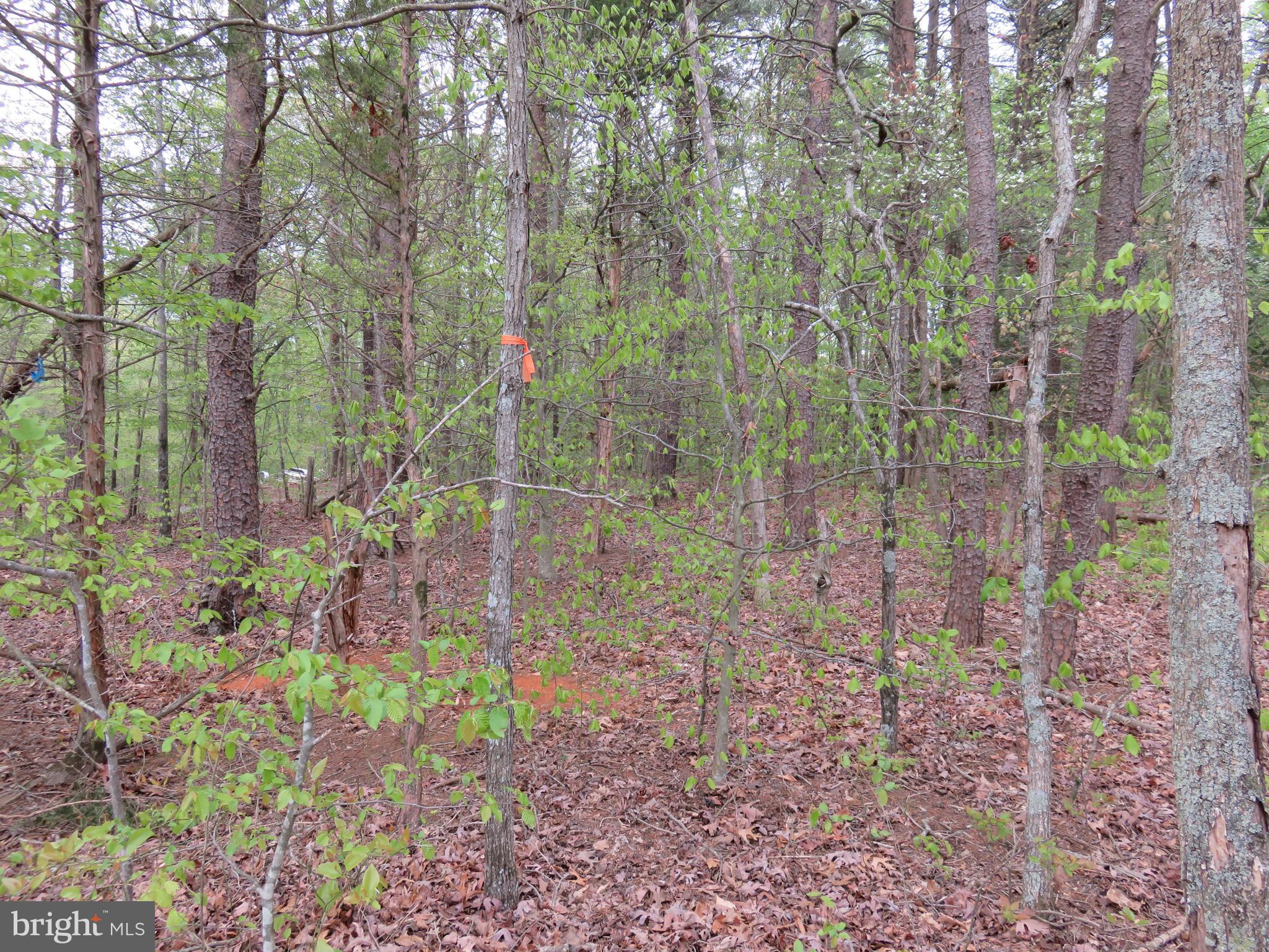 3731 Breaknock Road Bumpass, VA 23024 - Photo 27 of 44 Gallery Image 27