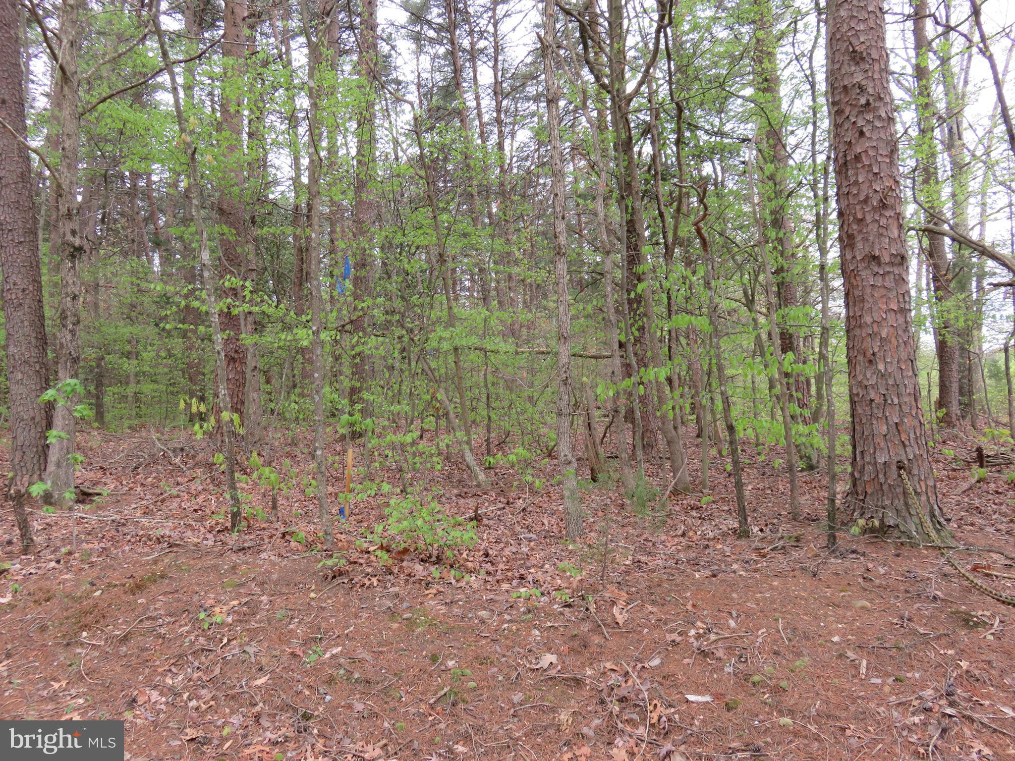 3731 Breaknock Road Bumpass, VA 23024 - Photo 28 of 44 Gallery Image 28