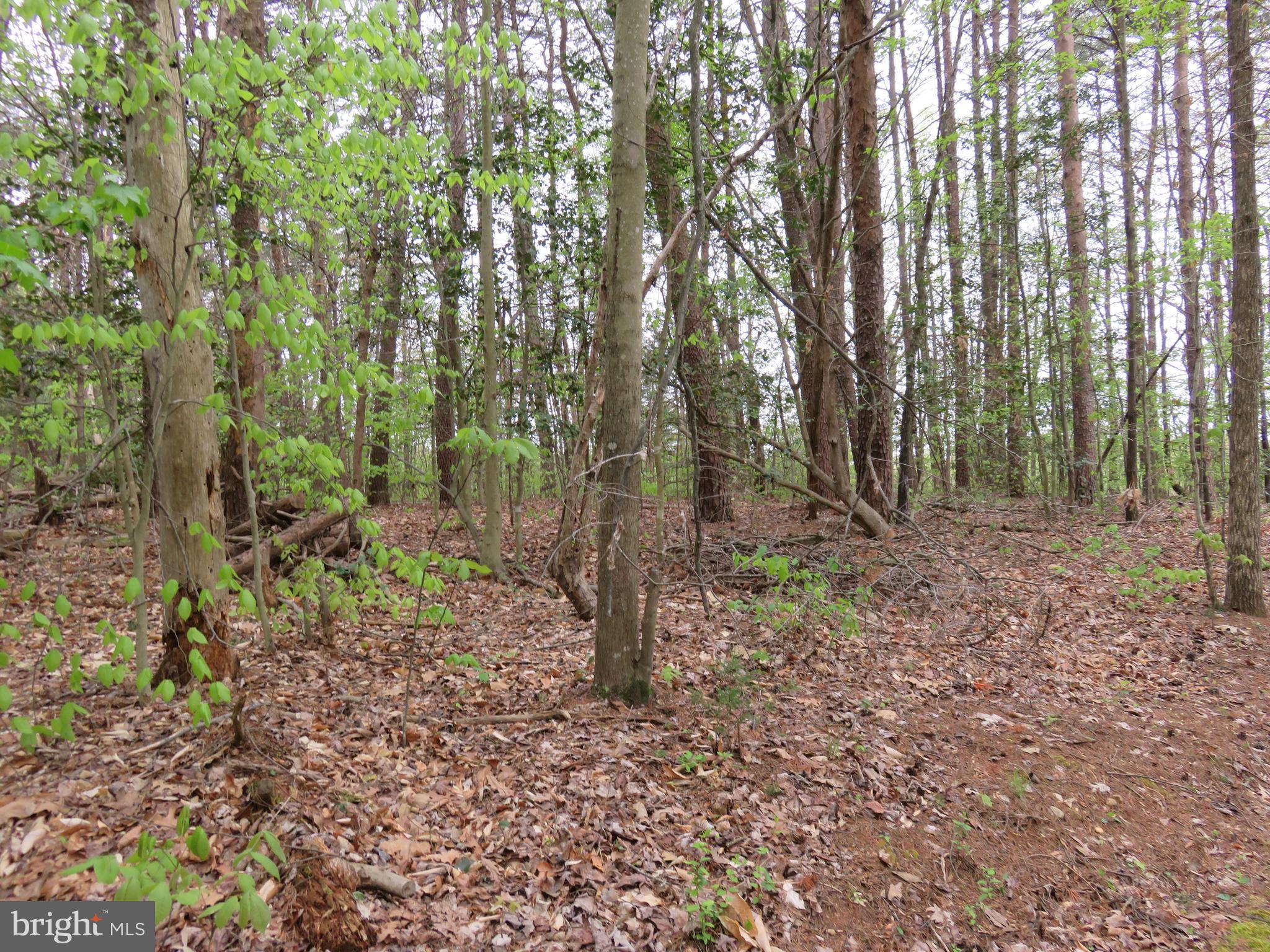 3731 Breaknock Road Bumpass, VA 23024 - Photo 31 of 44 Gallery Image 31