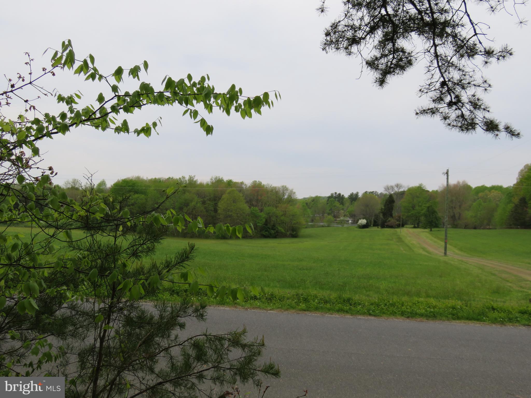 3731 Breaknock Road Bumpass, VA 23024 - Photo 39 of 44 View Across the street