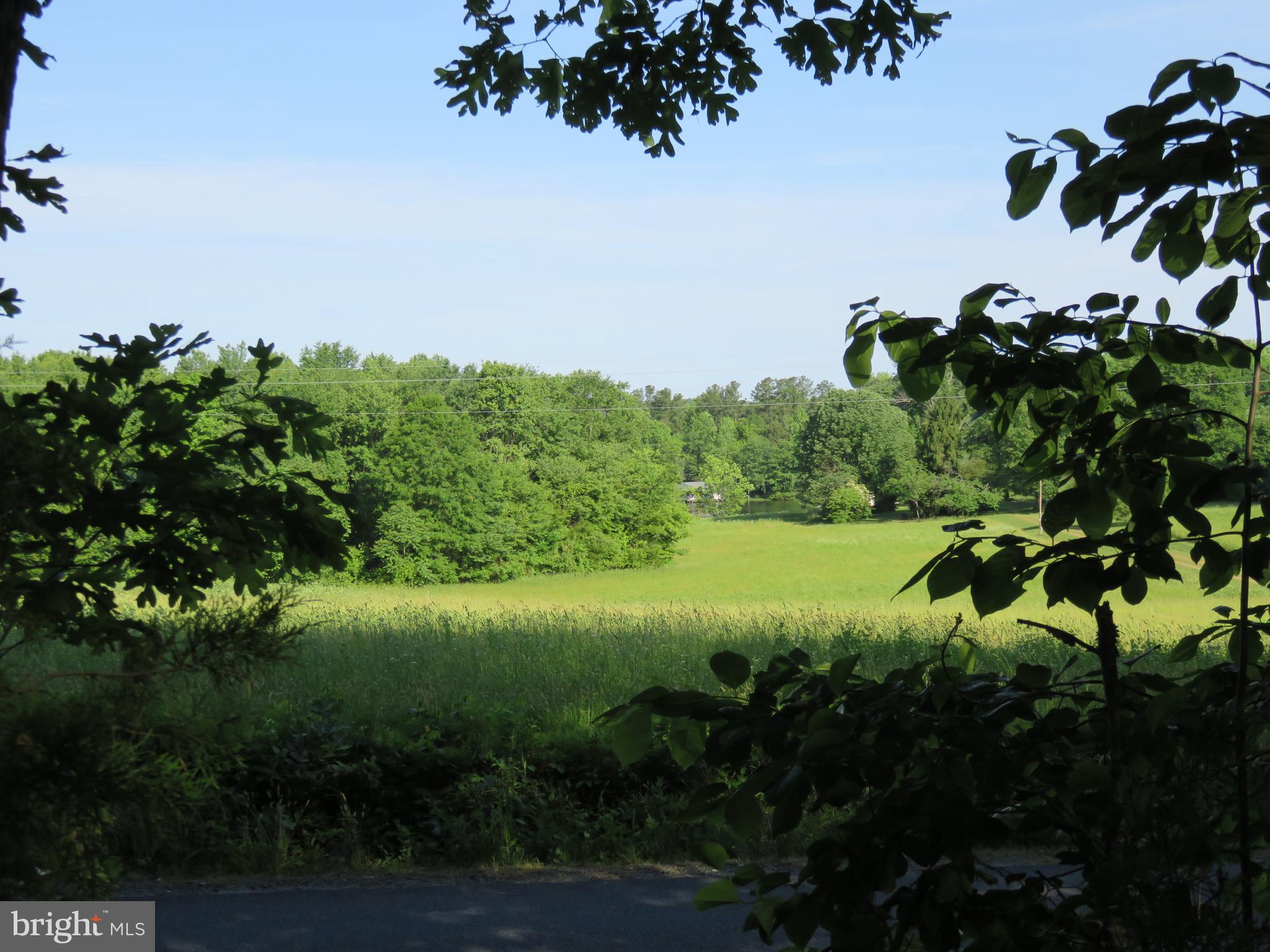 3731 Breaknock Road Bumpass, VA 23024 - Photo 42 of 44 View across the street