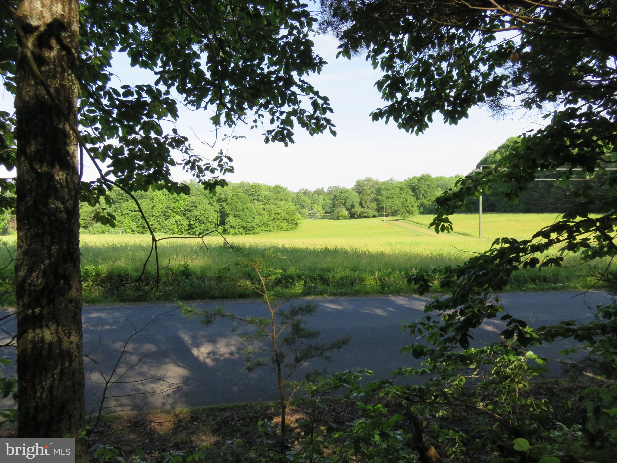 3731 Breaknock Road Bumpass, VA 23024 - Photo 43 of 44 view across street