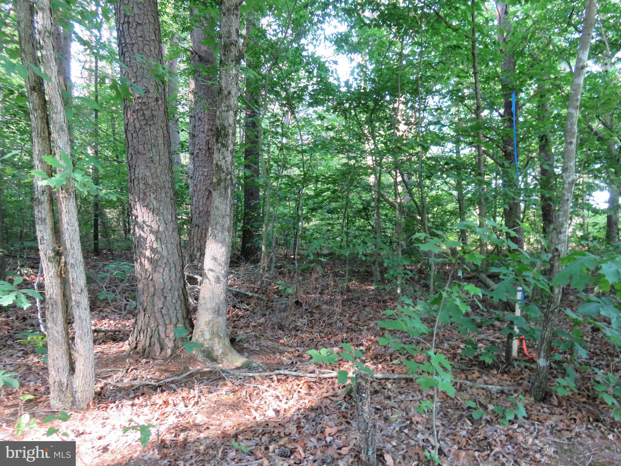 3731 Breaknock Road Bumpass, VA 23024 - Photo 9 of 44 Gallery Image 9