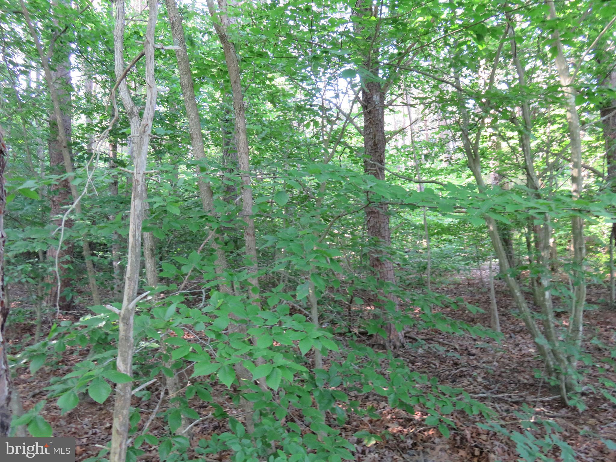 3731 Breaknock Road Bumpass, VA 23024 - Photo 10 of 44 Gallery Image 10