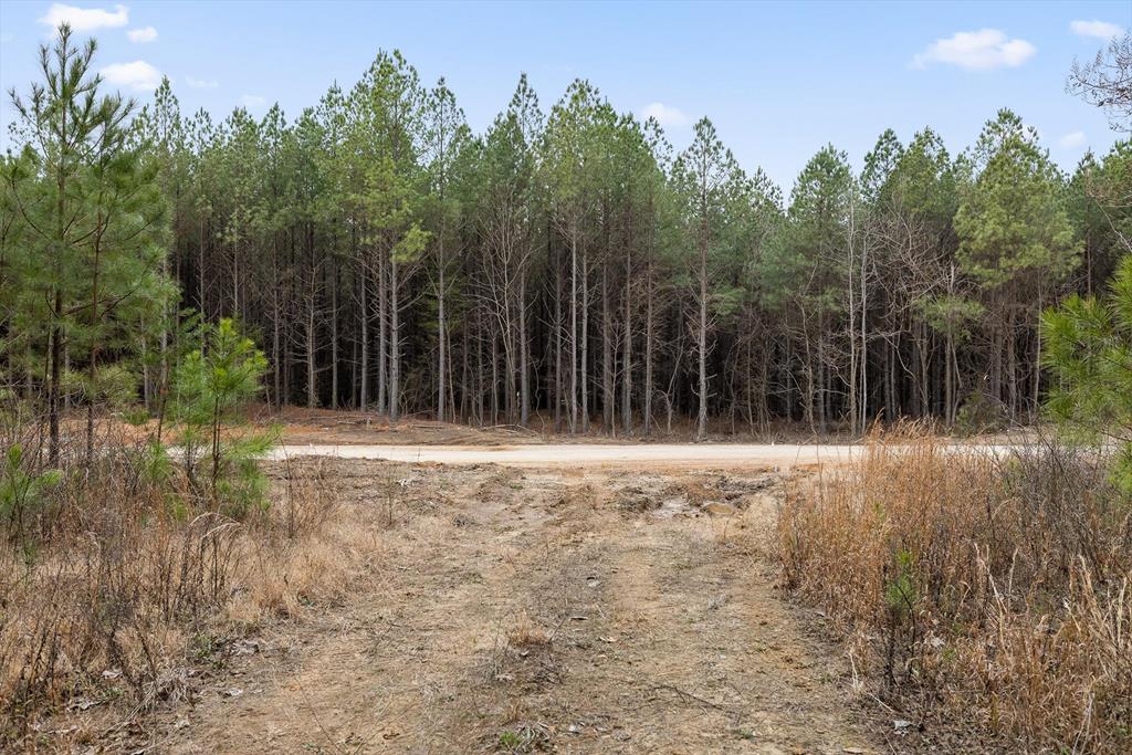 5370 River Bend Road Guild, TN 37340 - Photo 15 of 36 Gallery Image 15