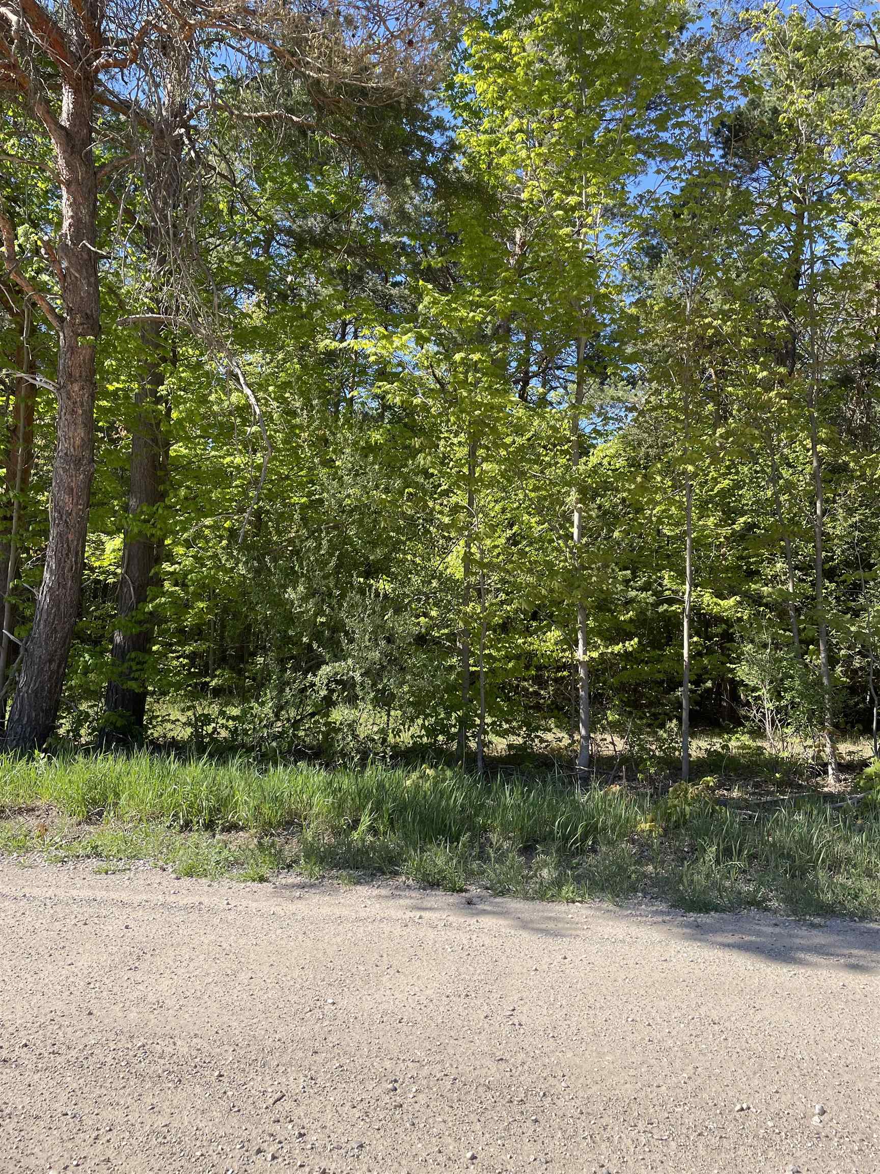 0 Rosa Road Beulah, MI 49617 - Photo 2 of 6 1891707-1.JPG