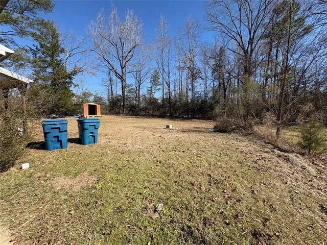 a view of road with large trees