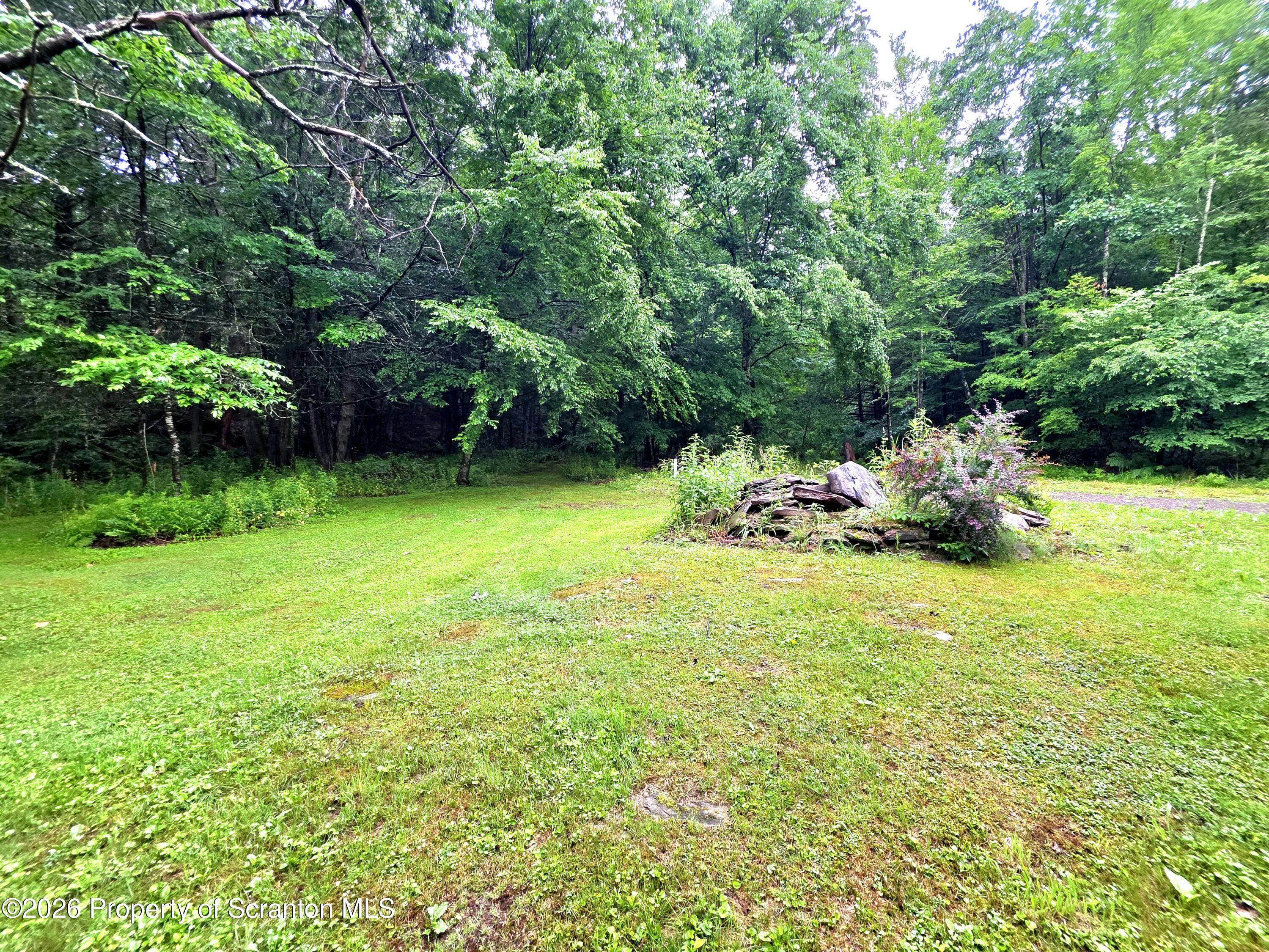 Pratt Hollow Road Nicholson, PA 18446 - Photo 5 of 18 Front of Lot