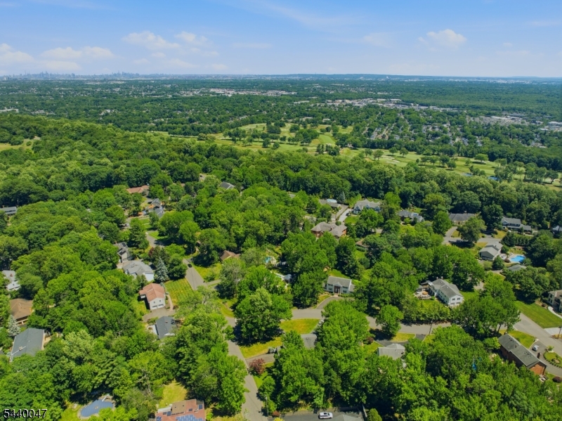 55 Green Hill Road Springfield, NJ 07081 - Photo 48 of 50