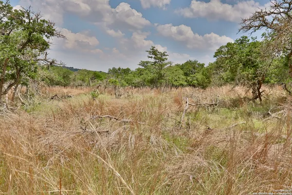 a view of lake with green space