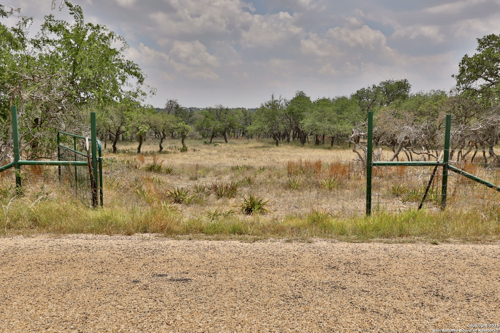 25 Dallas Josie Road Harper, TX 78631 - Photo 4 of 16 a view of a lake view