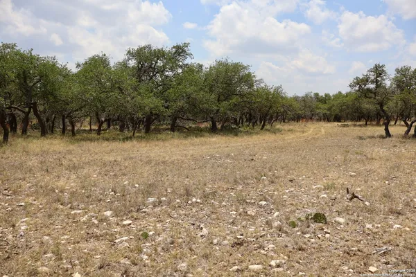 a view of dirt field with trees in background