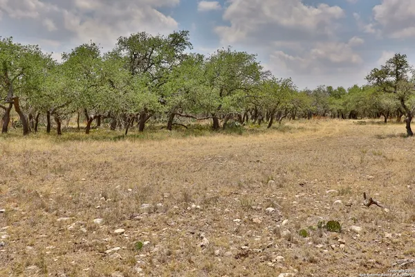 a view of dirt field with trees in background