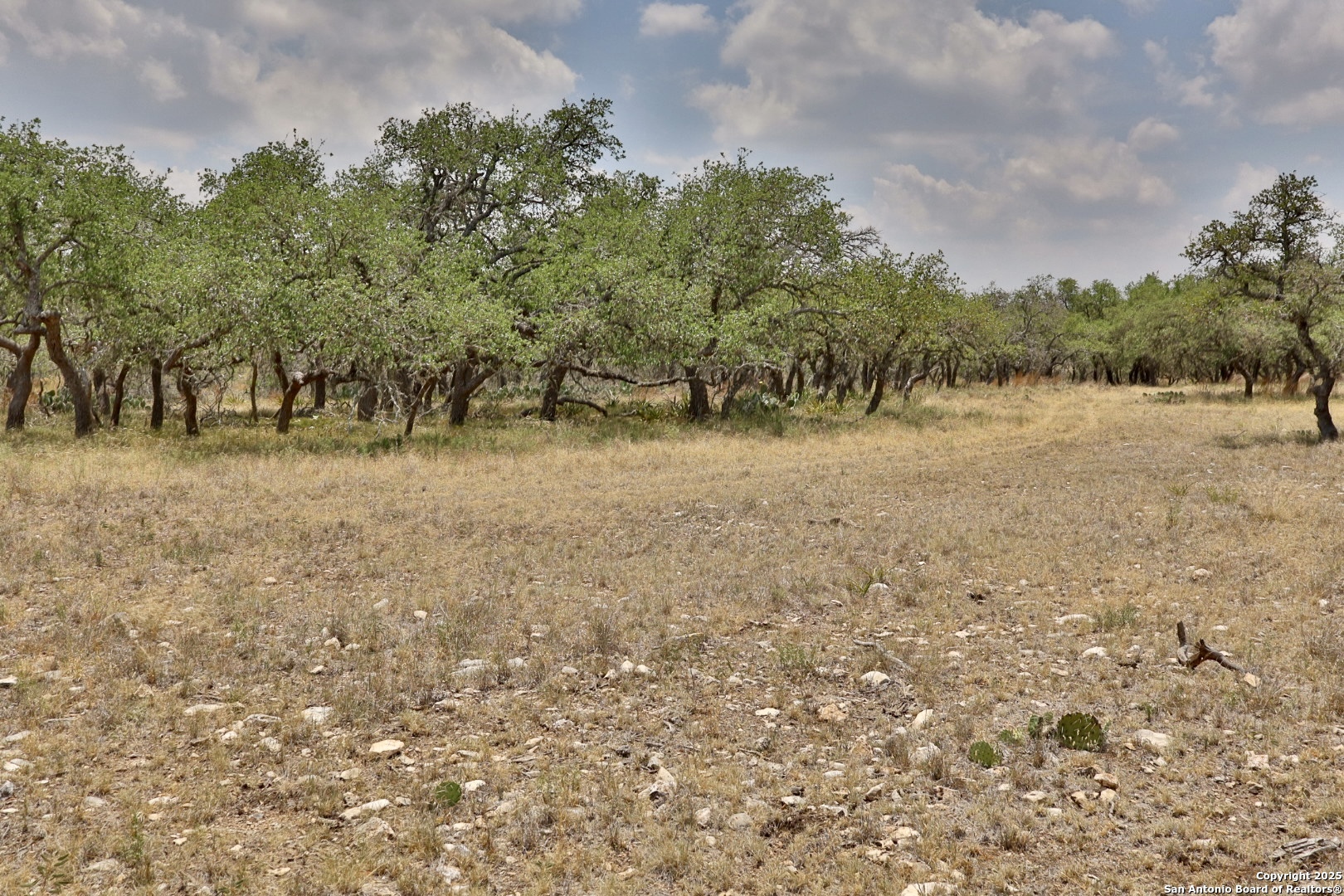 25 Dallas Josie Road Harper, TX 78631 - Photo 6 of 16 a view of dirt field with trees in background
