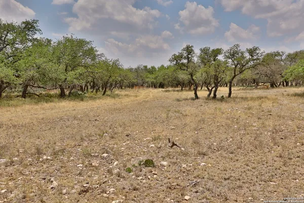 a view of dirt field with trees in background