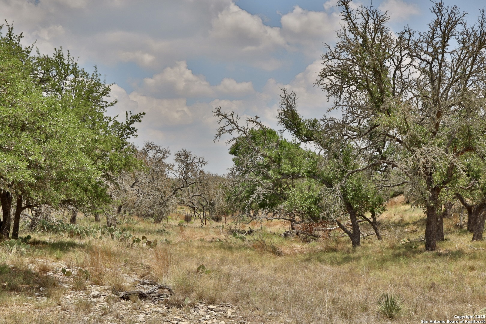 25 Dallas Josie Road Harper, TX 78631 - Photo 9 of 16 a view of a bunch of trees