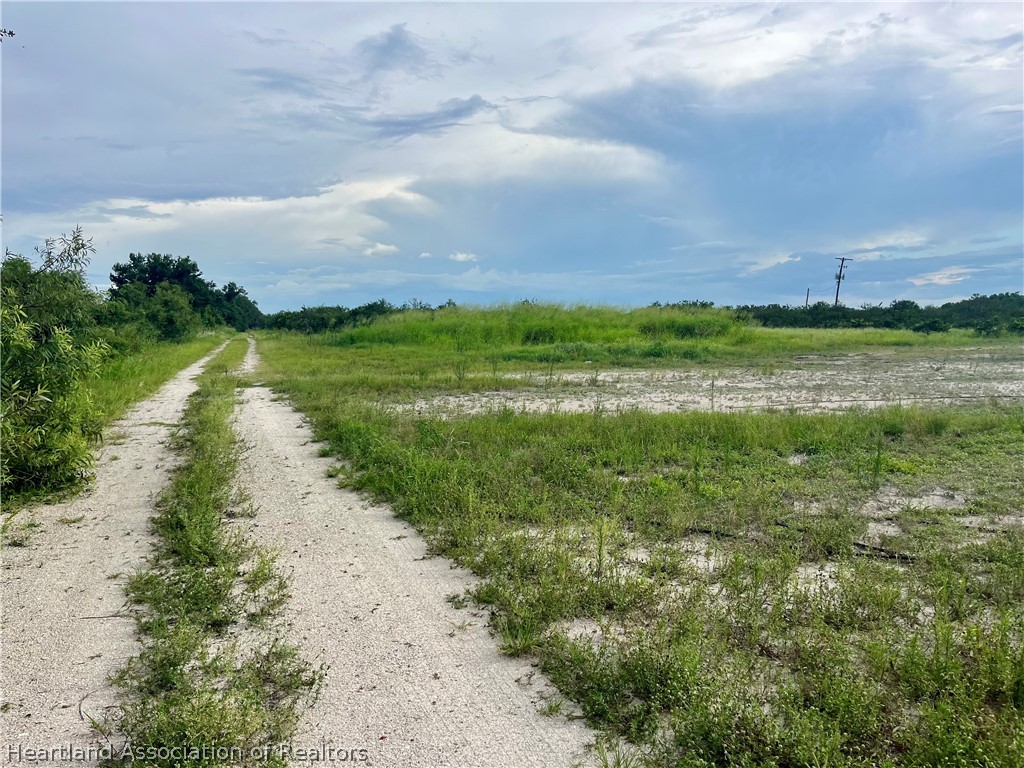 Hayman Road Wauchula, FL 33873 - Photo 6 of 8