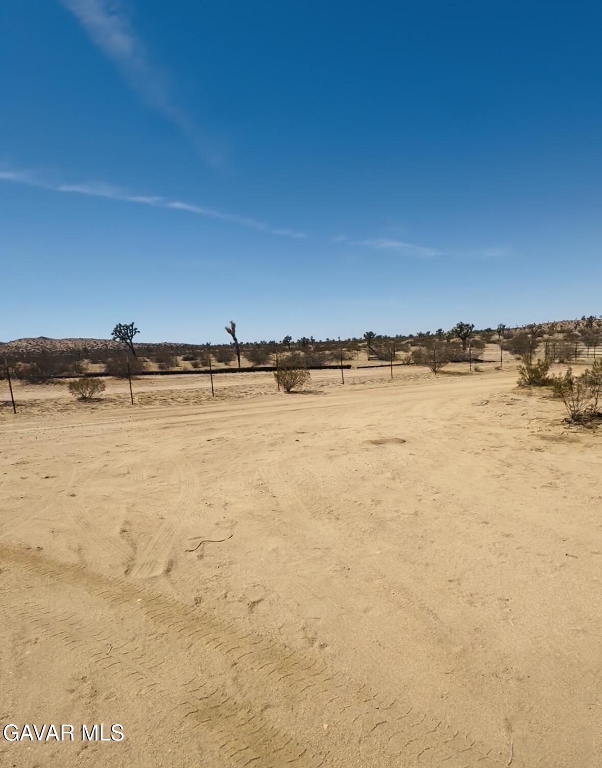 43960 200th Street East Lancaster, CA 93535 - Photo 2 of 6 43960 20th E desert pic 2