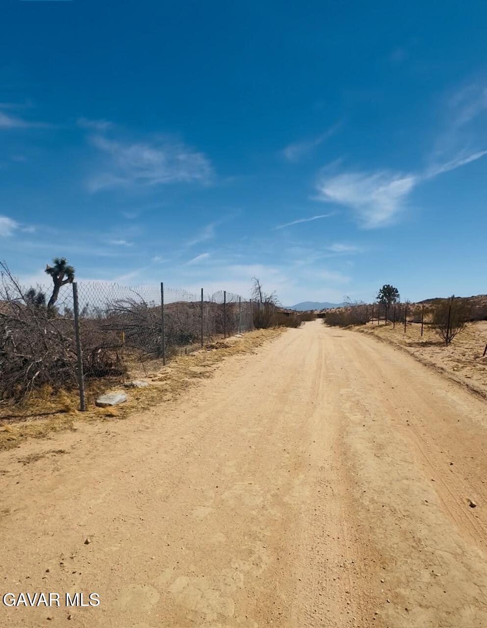 43960 200th Street East Lancaster, CA 93535 - Photo 3 of 6 43960 200th E desert picjpg