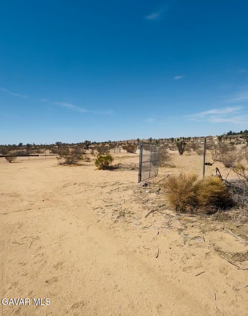 43960 200th Street East Lancaster, CA 93535 - Photo 4 of 6 43960 200th St E desert pic 3