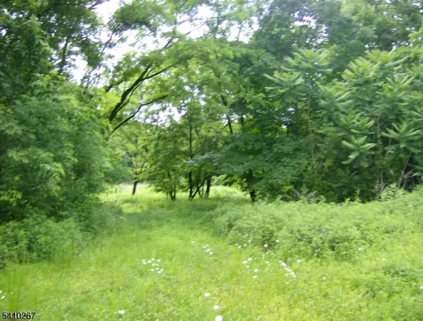 a view of green field