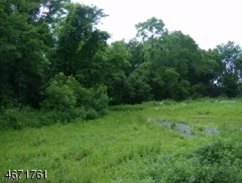 35 Passaic Valley Road Montville, NJ 07045 - Photo 2 of 2 a view of a lush green space
