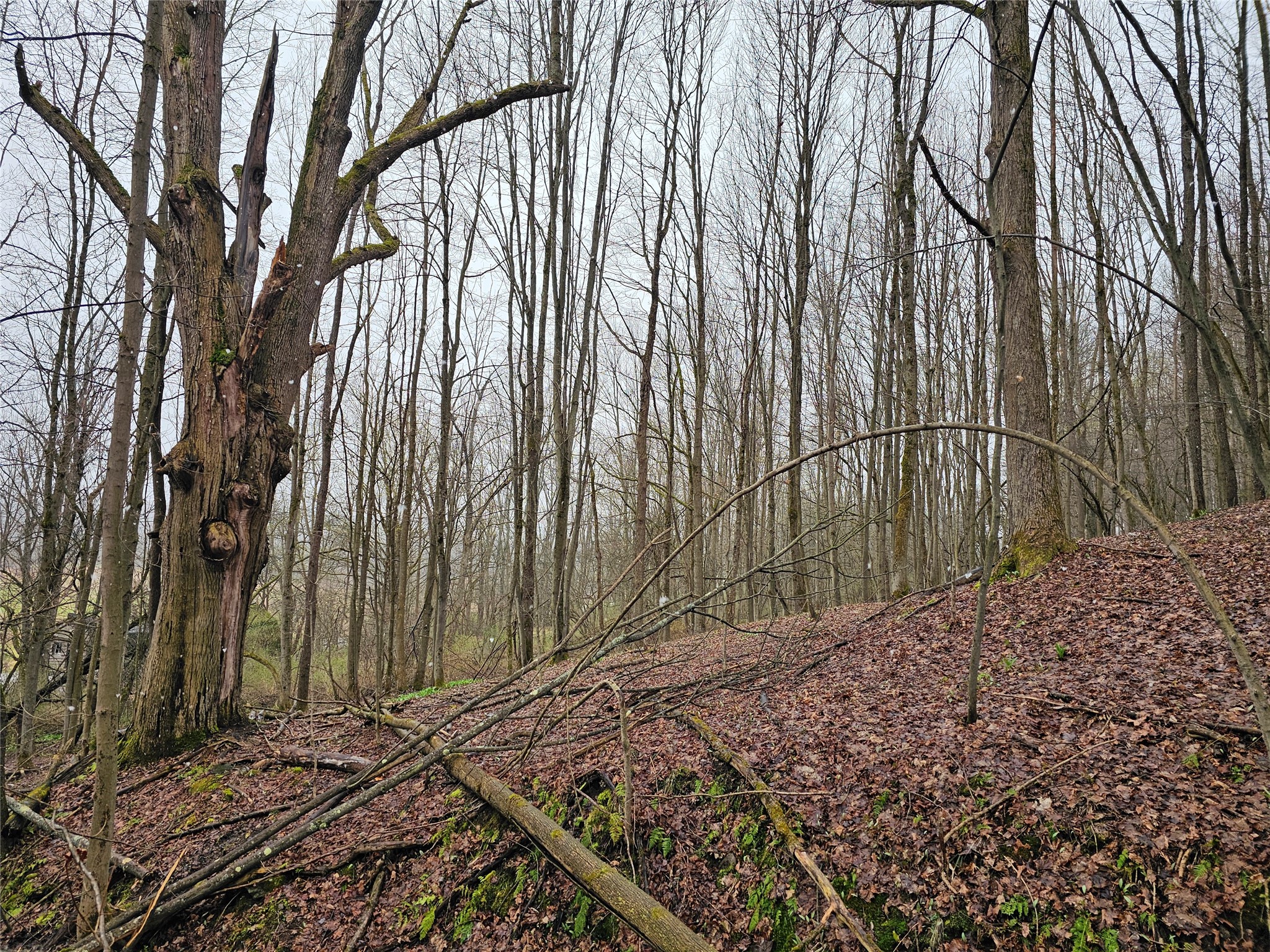 Plank Road Corry, PA 16407 - Photo 2 of 7