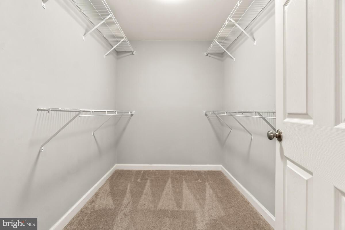 5521 Hawk Ridge Road Frederick, MD 21704 - Photo 45 of 66 a view of walk in closet with empty racks