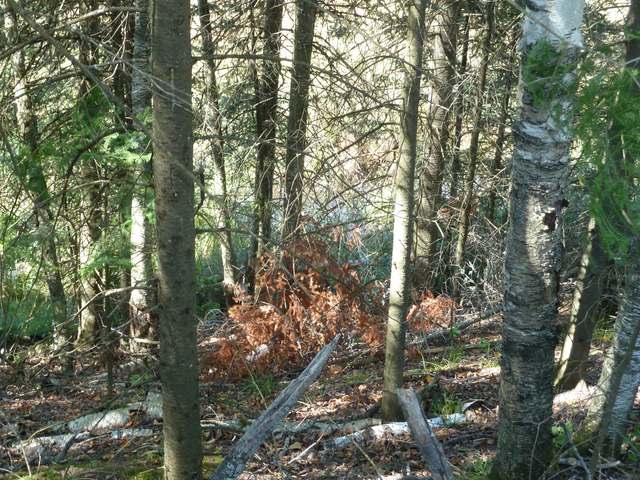 Lot 18 Bobcat Road Presque Isle, WI 54557 - Photo 6 of 8 Gallery Image 6