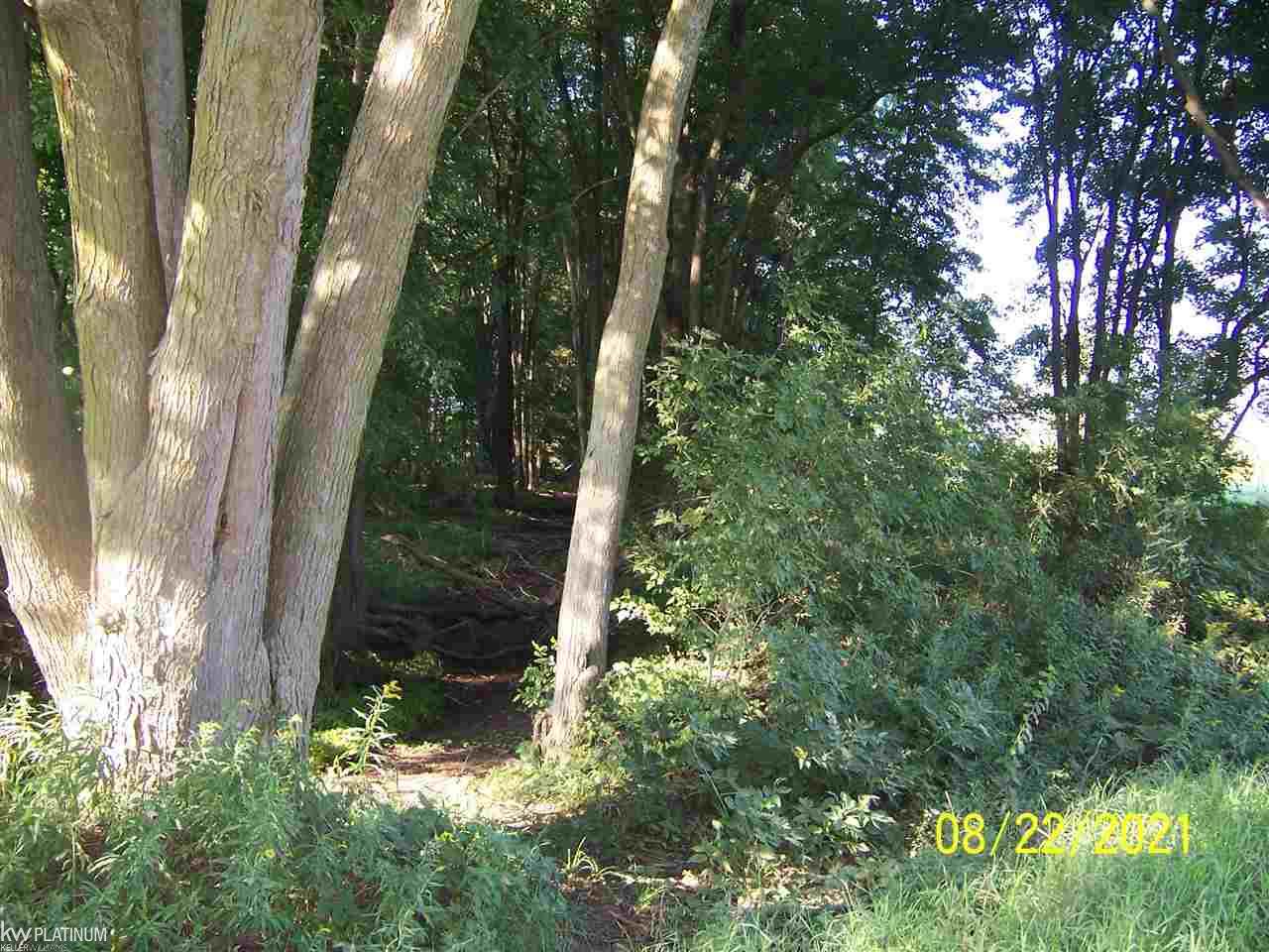Sullivan Road Capac, MI 48014 - Photo 5 of 7