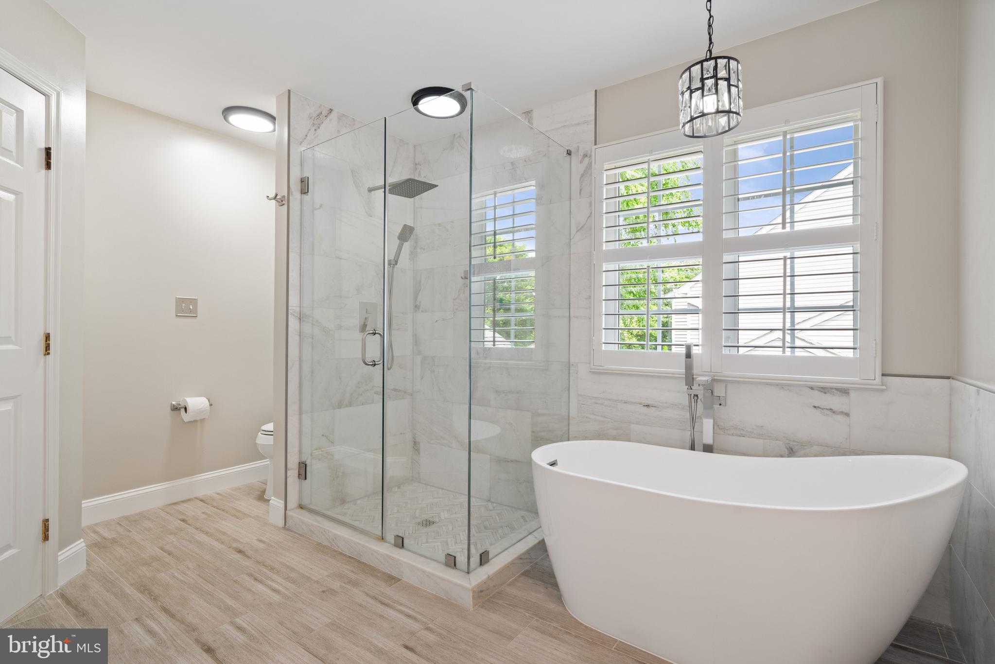 42702 Middle Ridge Place Broadlands, VA 20148 - Photo 34 of 60 Primary Bathroom