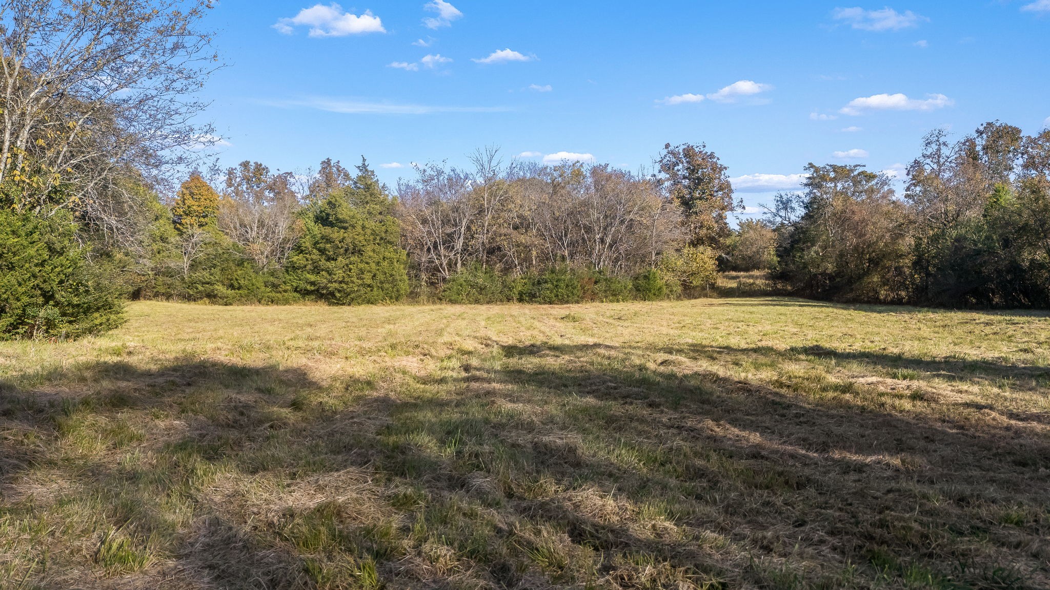 1353 Mt Herman Road Murfreesboro, TN 37127 - Photo 45 of 48 Gallery Image 45
