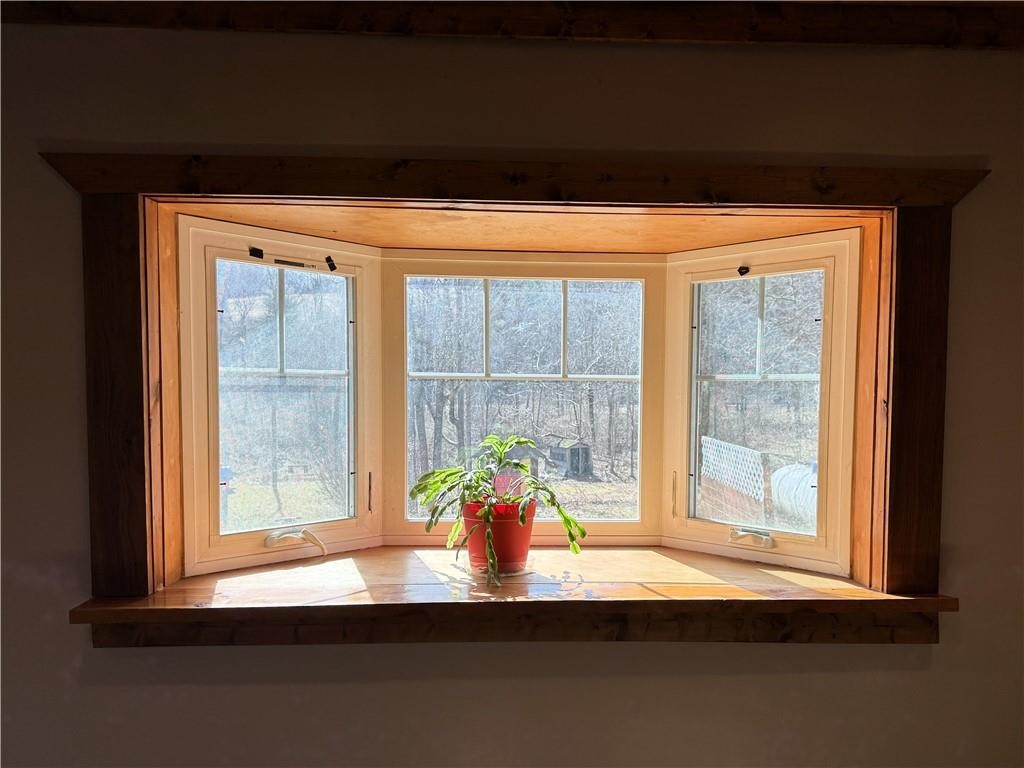386 Hamilton Valley Road Spencer, NY 14883 - Photo 20 of 43