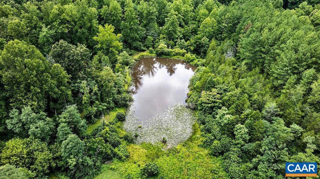 965 Horseshoe Road Arrington, VA 22922 - Photo 67 of 69 The owners of the property own the water rights to the pond on the neighbors's property so they enjoy access to the pond for fishing.