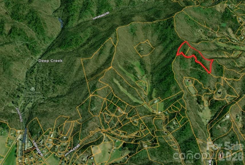 0 Betts Branch Road Bryson City, NC 28713 - Photo 12 of 14