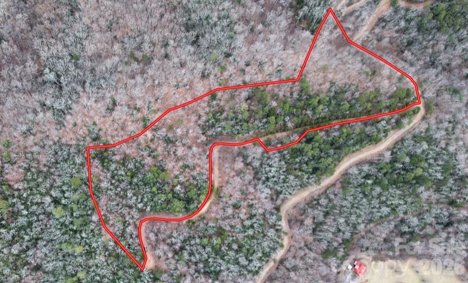 0 Betts Branch Road Bryson City, NC 28713 - Photo 13 of 14