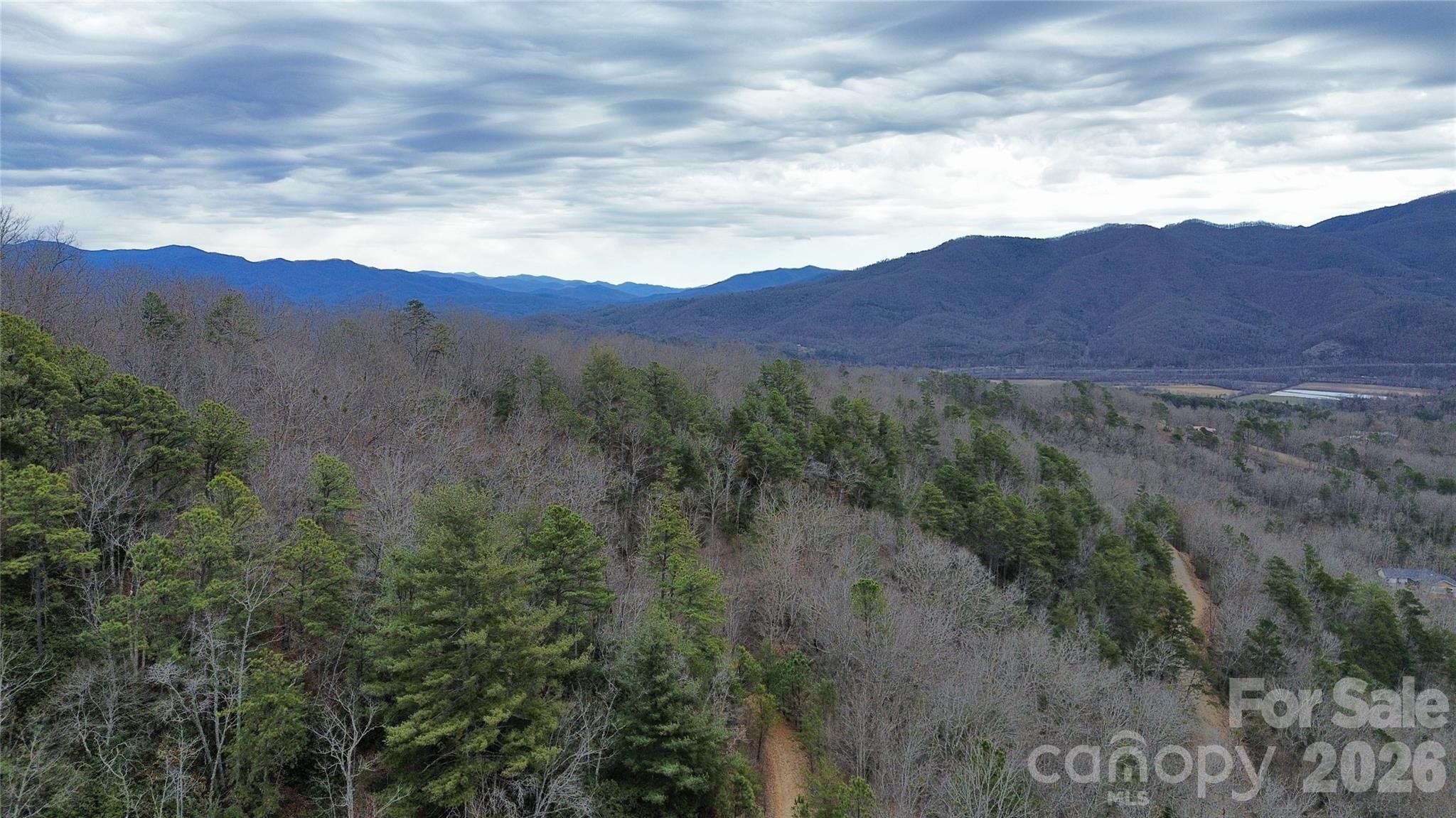 0 Betts Branch Road Bryson City, NC 28713 - Photo 14 of 14