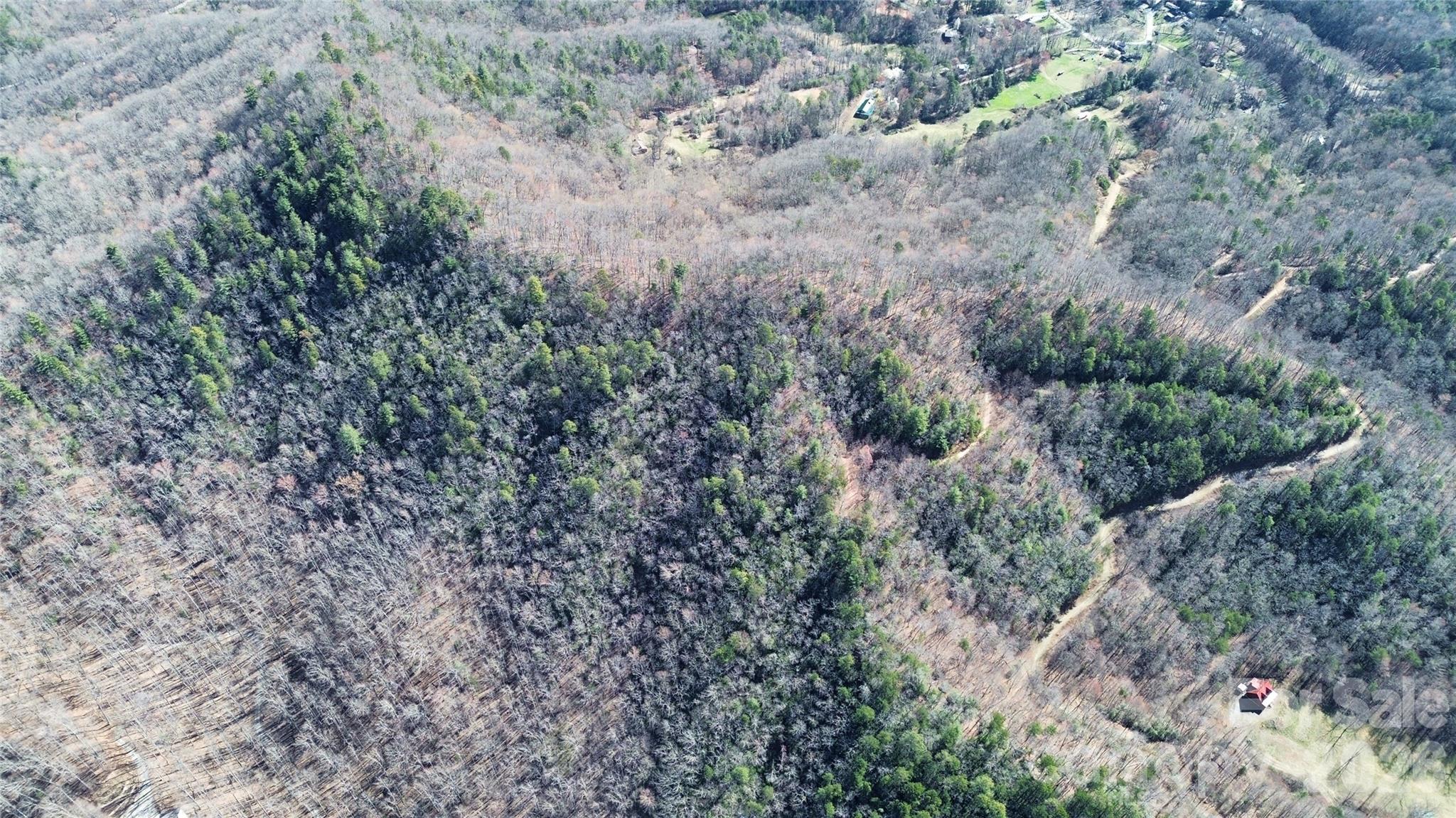 0 Betts Branch Road Bryson City, NC 28713 - Photo 2 of 14