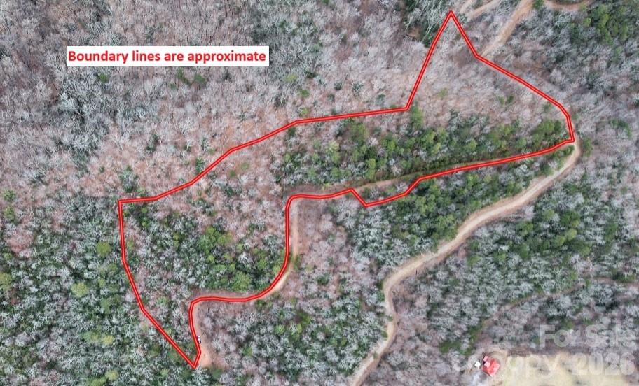 0 Betts Branch Road Bryson City, NC 28713 - Photo 3 of 14