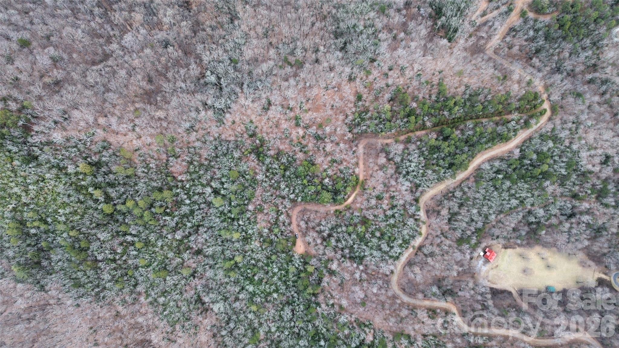 0 Betts Branch Road Bryson City, NC 28713 - Photo 7 of 14