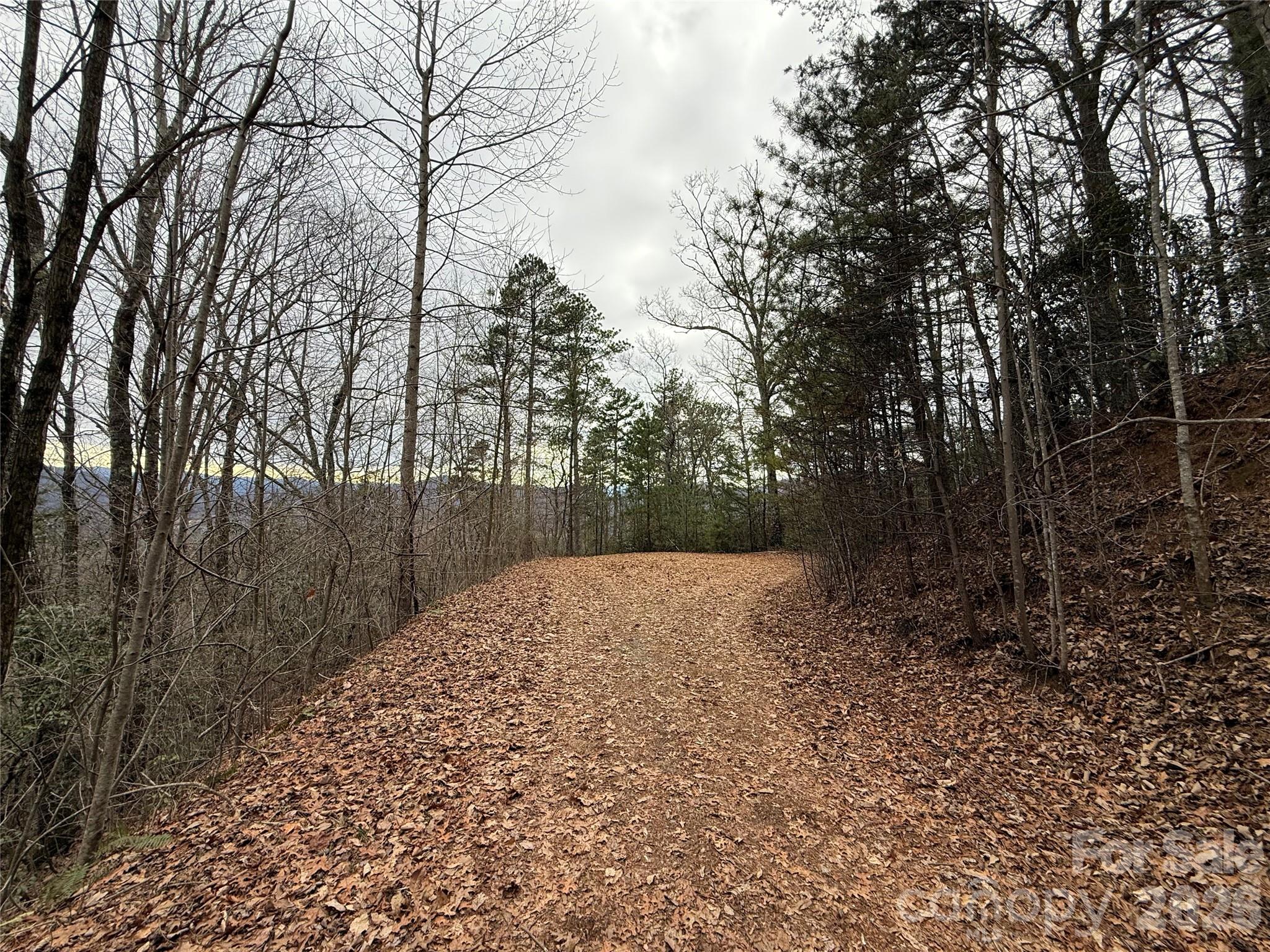 0 Betts Branch Road Bryson City, NC 28713 - Photo 8 of 13