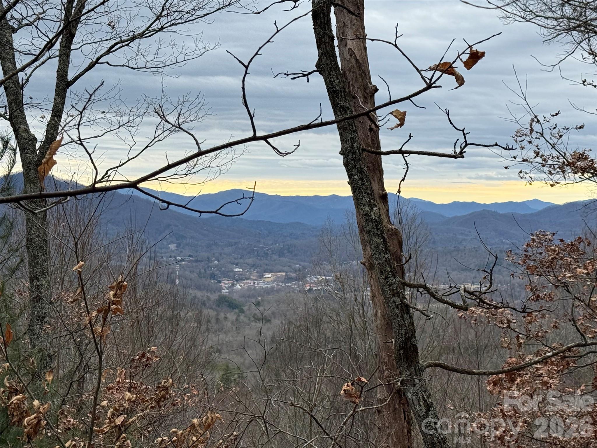 0 Betts Branch Road Bryson City, NC 28713 - Photo 9 of 13
